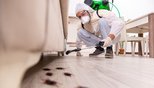 General pest control