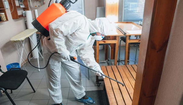 Hotel pest control